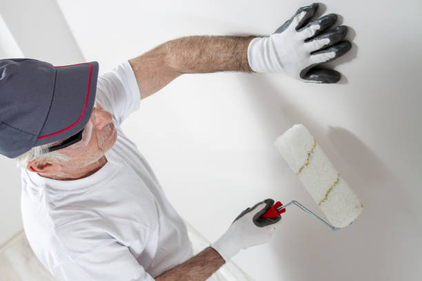 Professional Mold Removal in Winooski, VT