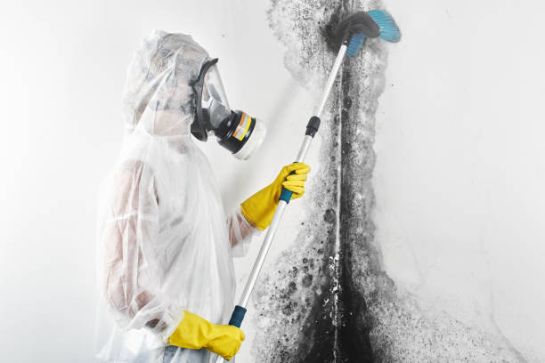 Best Industrial Mold Remediation  in Winooski, VT