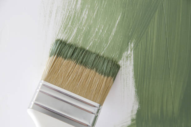 Best Mold Damage Restoration  in Winooski, VT