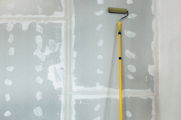 Environmental Consulting for Mold Prevention in Winooski, VT
