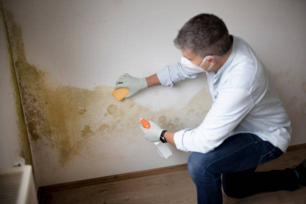 Best Mold Prevention Services  in Winooski, VT