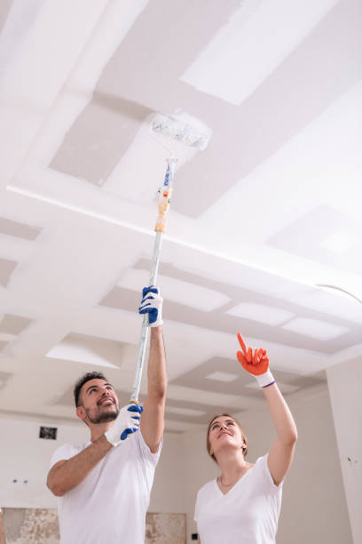 Best Basement Mold Removal  in Winooski, VT