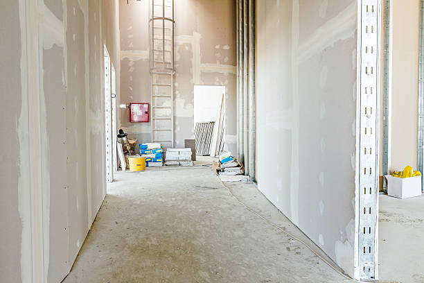 Best Crawl Space Mold Remediation  in Winooski, VT